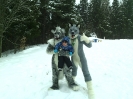 Our 2 first fursuits Gabriel and Chester_1