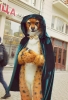 Furries at Saint Patrick's Day (2014)_38