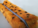Close-up (Kenta the Cheetah)_10