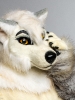 Ratibor (fox fursuit)_4
