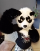 Panda_4
